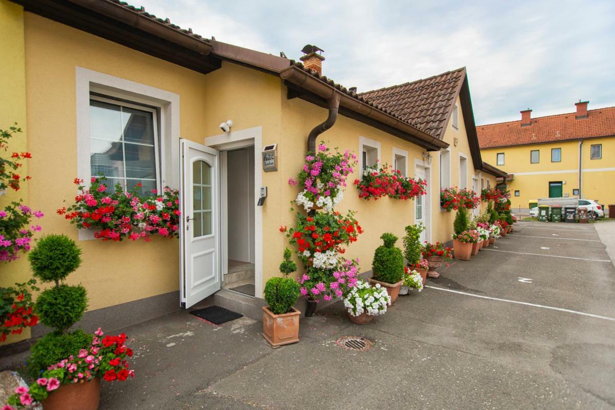 Auszeit Leoben 1 Mit Terasse Und Gratis Parkplatz Lägenhet Exteriör bild
