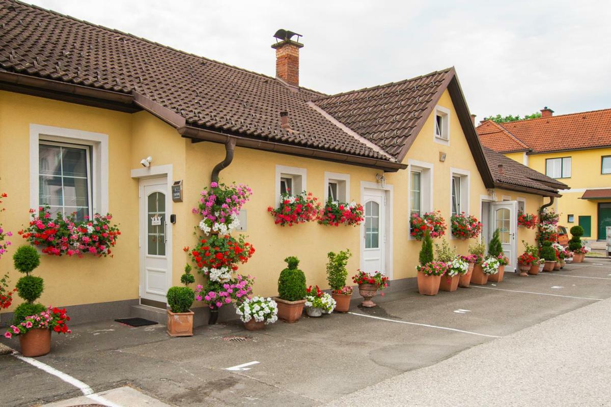 Auszeit Leoben 1 Mit Terasse Und Gratis Parkplatz Lägenhet Exteriör bild